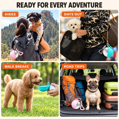Portable Dog Bowl & Bottle