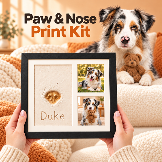 Paw & Nose Print Kit
