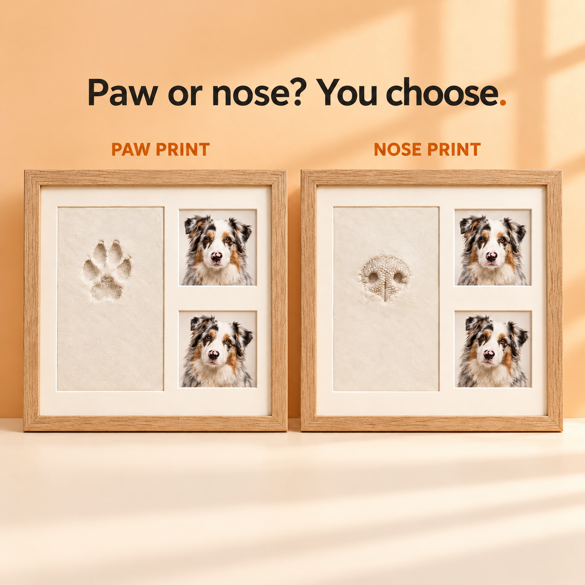 Paw & Nose Print Kit